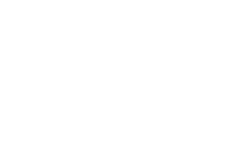 The Pinnacle Spine and Sport website white logo